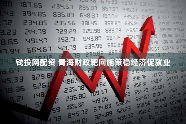 钱投网配资 青海财政靶向施策稳经济促就业